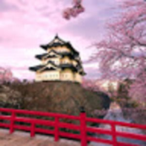 Meet your Posher, Luke